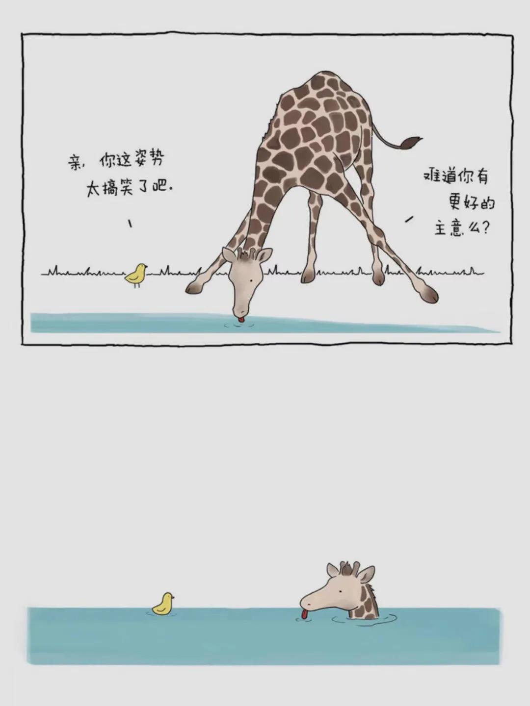 能和动物沟通的书,人类和动物交换的一本书