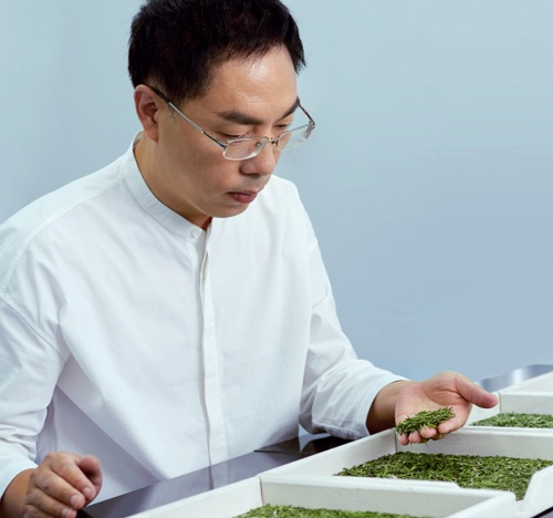 竹叶青茶是怎么做到味道浓郁的,中国高山好茶竹叶青