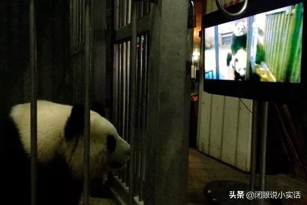 有意思动物冷知识,动物的一些奇特的知识