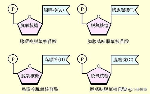 乙肝taf治疗效果,乙肝nas治疗是什么意思