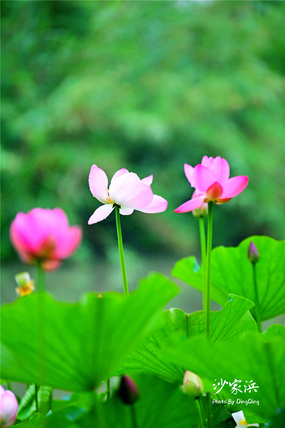 苏州红色革命旅游景点图片,苏州红色革命景点介绍视频