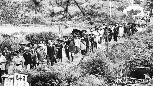 五十年前，他冒死从深圳湾游到香港，现在他后悔了