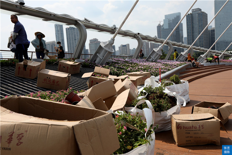 广州人行景观桥最新情况,广州海心沙人行天桥