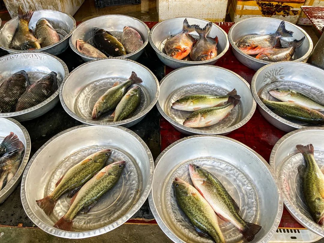 不错挺便宜的早市,附近比较旺的早市