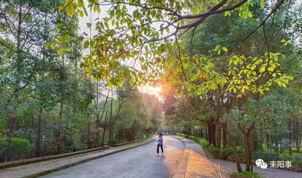 迎接校园里的百花齐放,教室窗外百花齐放