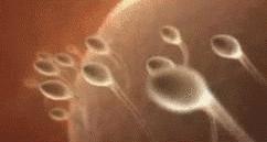 你是如何发现自己意外怀孕的,你是怎么发现自己怀孕的知乎