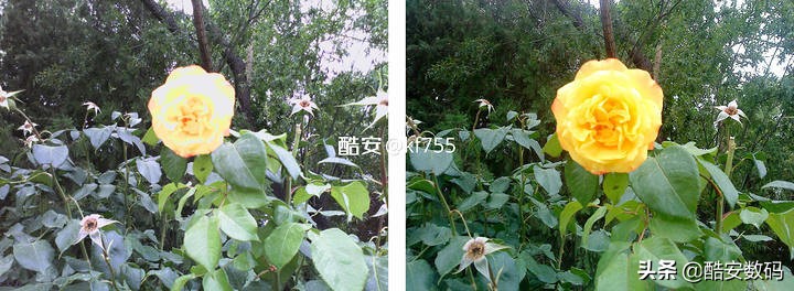 诺基亚twist7705,诺基亚7705最新款