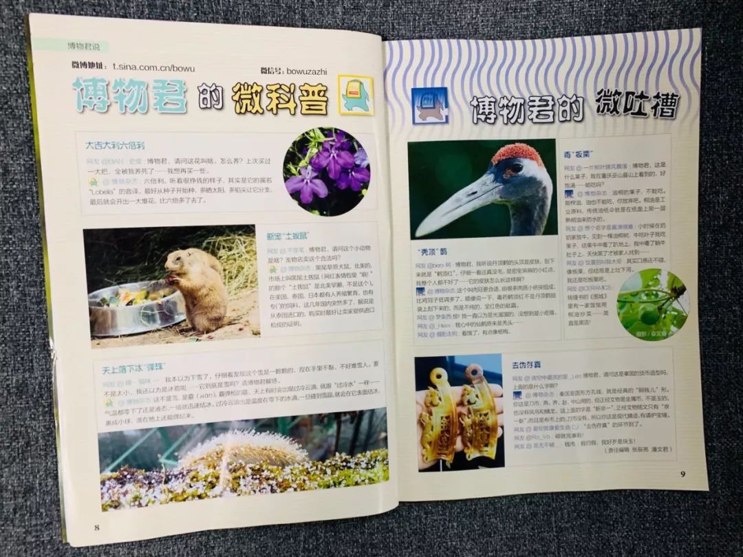 不知道给孩子订哪些杂志,看这篇