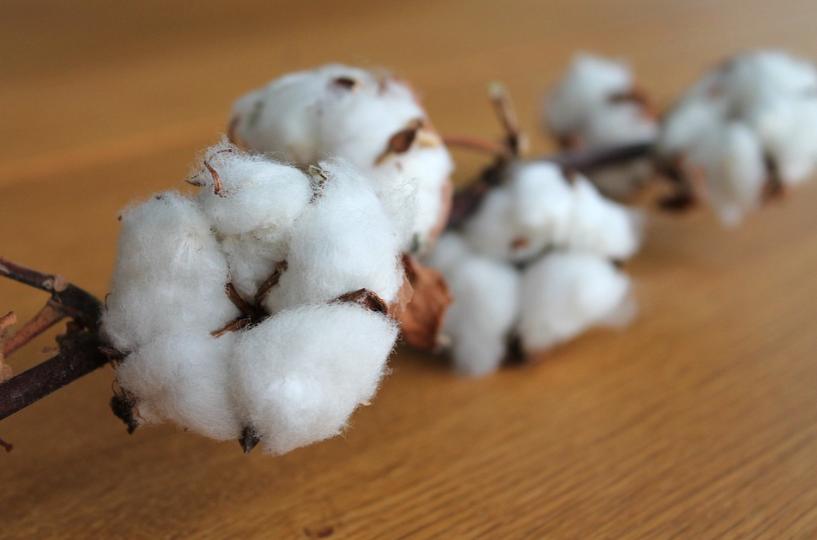 儿童冬天能盖夏凉被吗,儿童夏凉被标准是什么