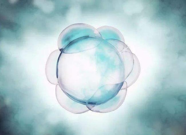 卵子很少怎么办,卵子没有优势怎么办