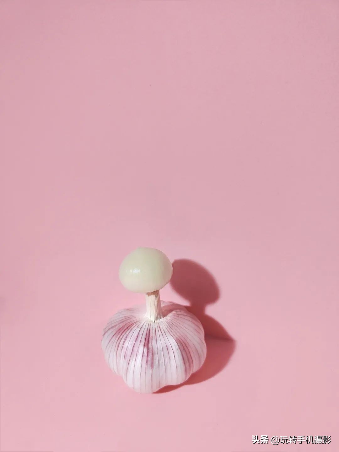 蒜头拍照,蒜头拍照怎么拍