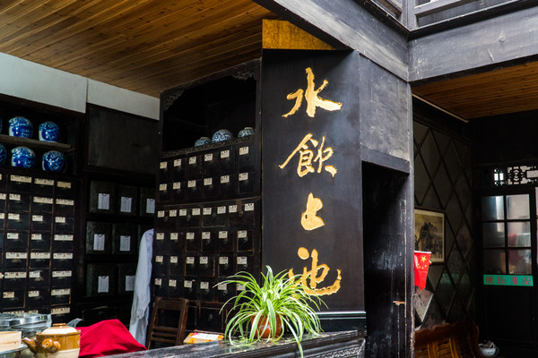 踏春赏花拍美景,踏春赏花逛湖