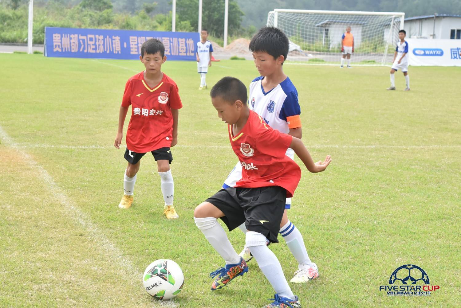 卡尔美五洲杯赛事,卡尔美星耀五洲杯直播