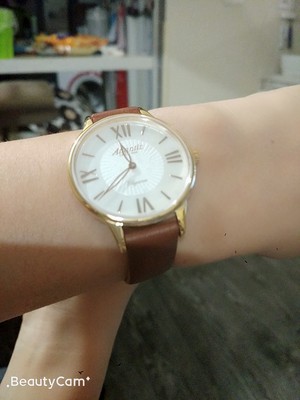 瑞士手表分为哪几类表,瑞士表奢侈入门