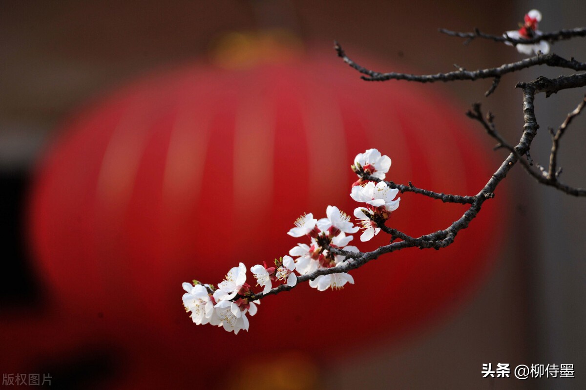 拍摄古建筑摄影技巧,古建筑双人拍照怎么拍出高级感