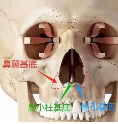 年纪轻轻一笑起来就有法令纹,年纪轻轻法令纹就很明显相学