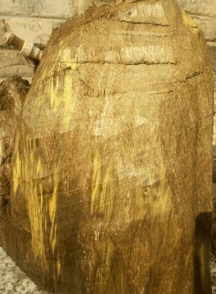 老宅挖出6米金丝楠乌木,四川老农盖房挖出金丝楠