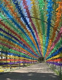 【FENG爆】5·19中国旅游日——*情纵**丰台，感受无限美景！