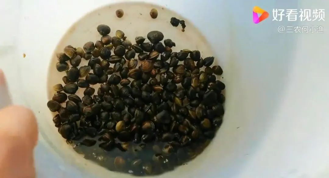 请依次用韩文读出来,请朗读并圈出元音不同的单词