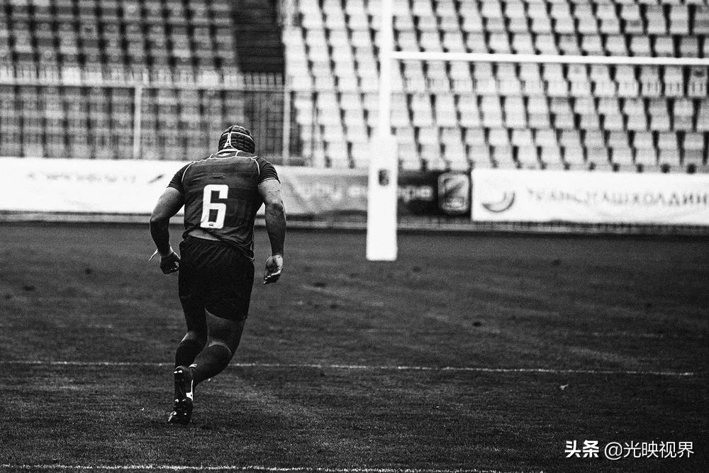 2022年度的ipa摄影大赛获奖作品,2020ippa摄影大赛奖项公布