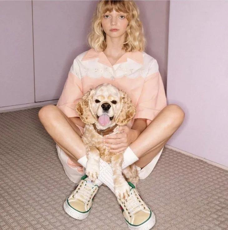 明星们脚上的球鞋，悄悄变贵了