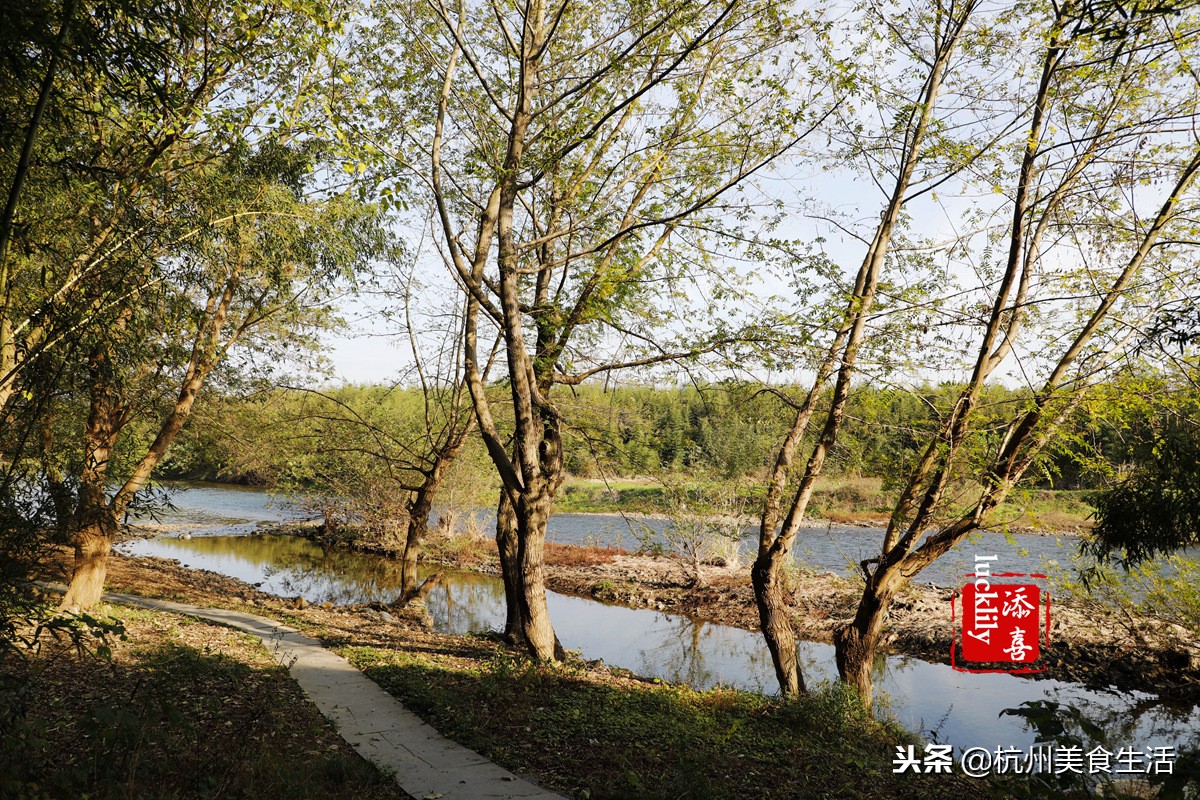 「杭州美食生活」径山淡竹元民宿，享受禅茶竹韵慢生活