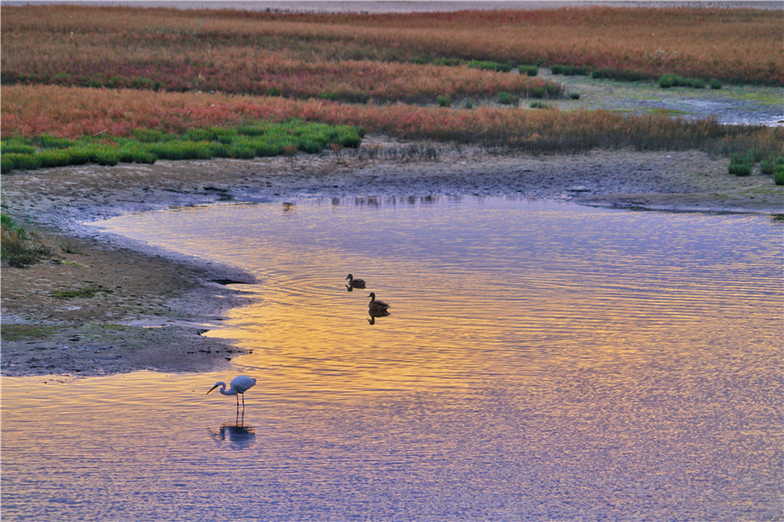 河北最宜居的城市有哪几个,河北最宜居的城市是哪个
