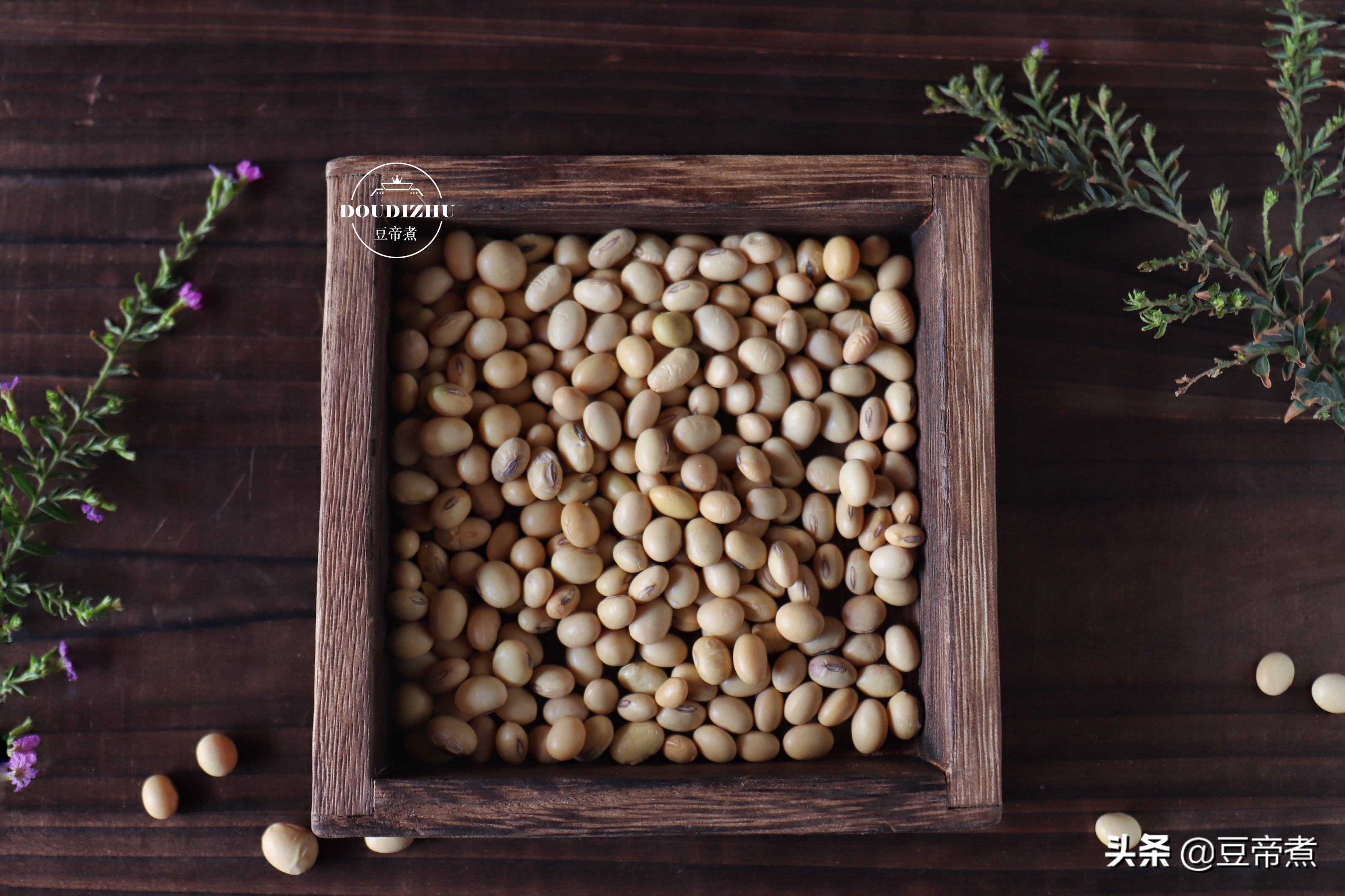 在家就能轻松喝到细腻香醇的豆浆,喜欢喝豆浆的一定要学会这个做法