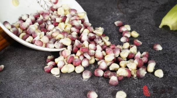 西双版纳甜糯小玉米排行第一,香糯小玉米西双版纳好吃吗