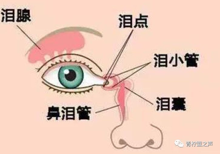 关于新型冠状病毒医疗科普,新型冠状病毒的肺炎知识问答答案