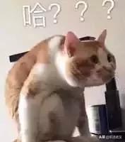 武汉人这件事要注意了！关系到你的生活、出行……