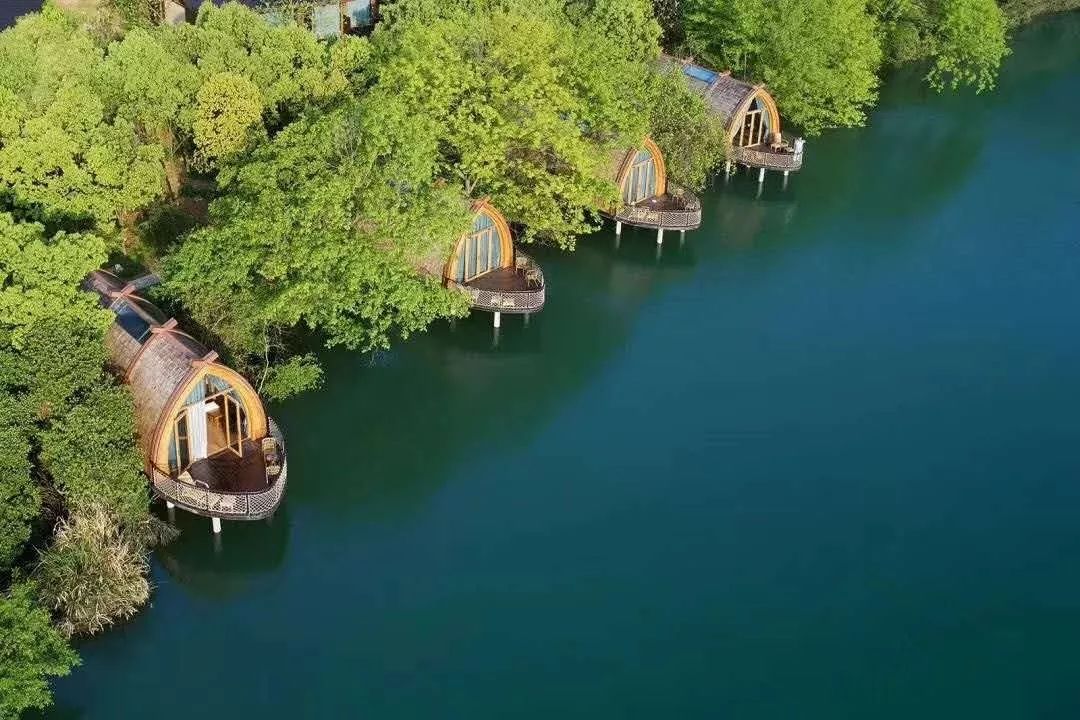 从A到Z，帕劳这个海岛国家远比你想象中更精彩