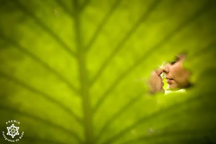 100寮犳渶鏂拌幏濂栧绀肩収,33涓幏濂栫殑濠氱ぜ鐓х墖瀹屽叏鍚稿紩鐪肩悆