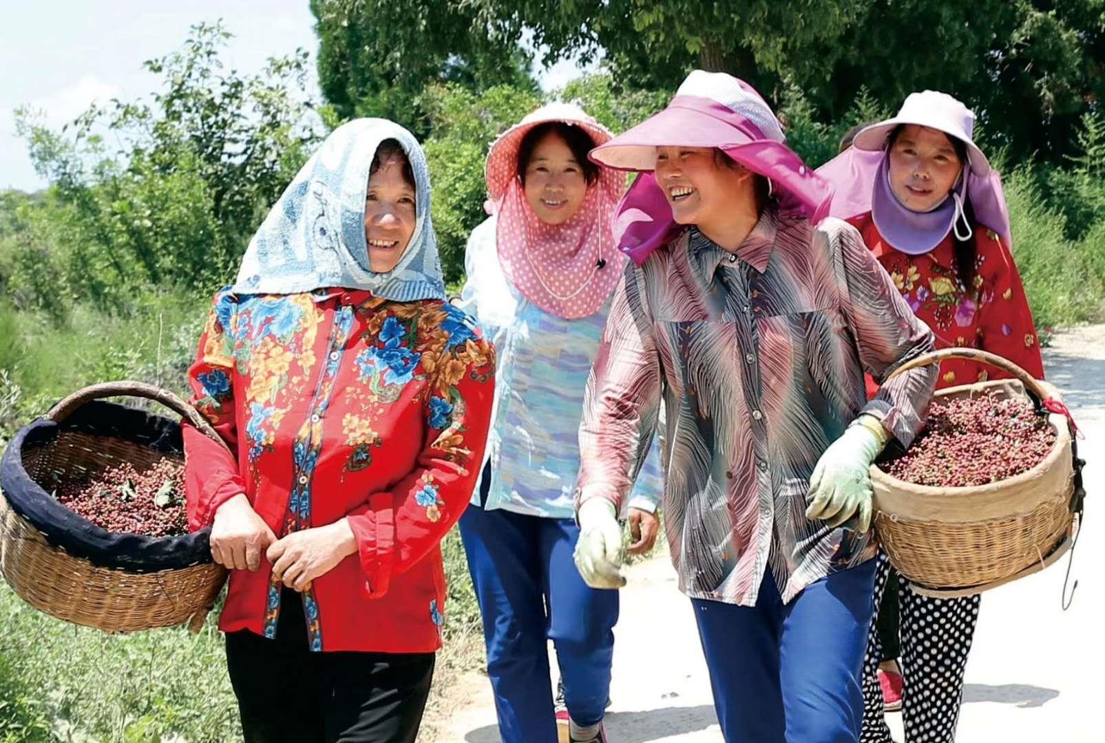 大美合阳县,大美合阳图片大全