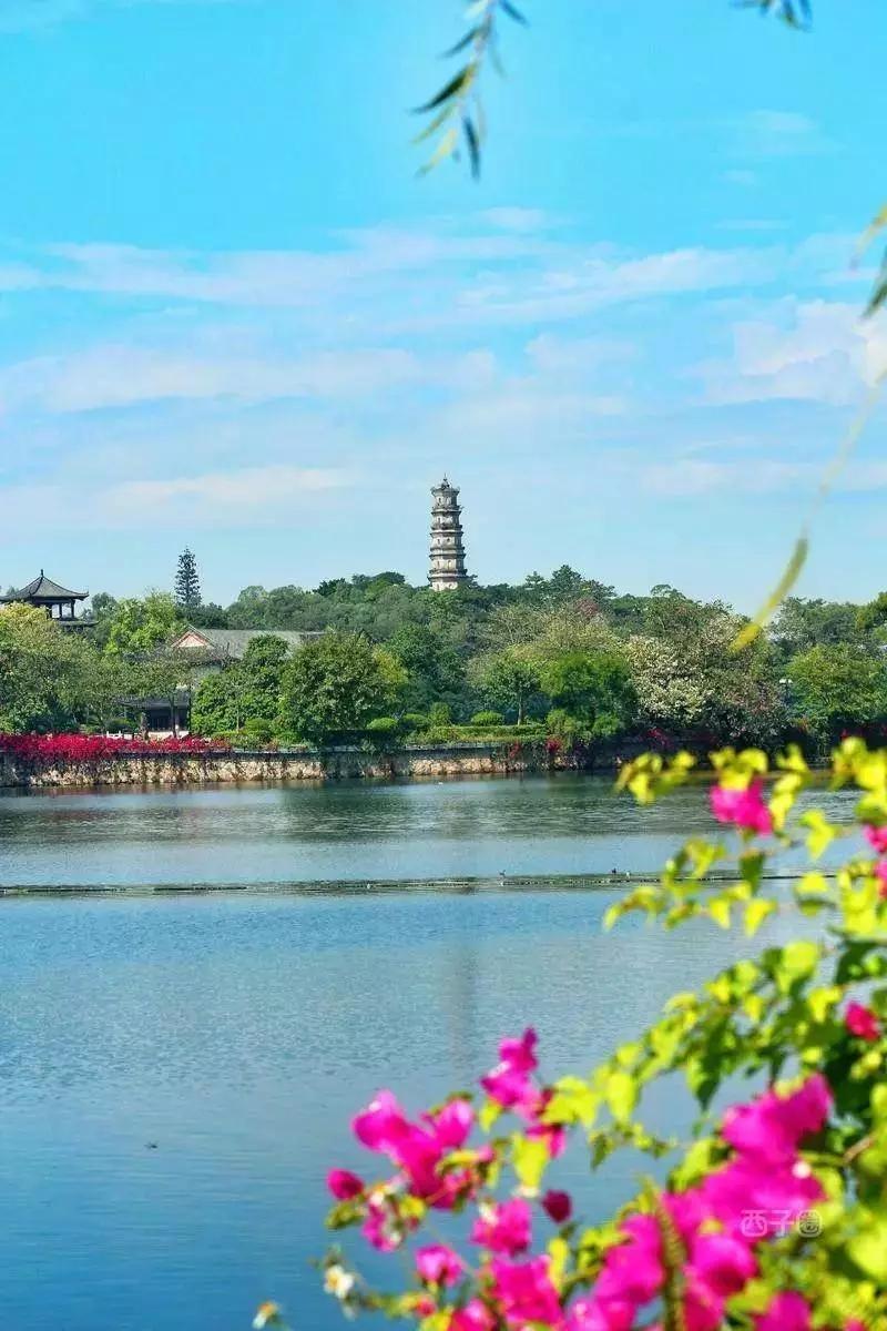 惠州博罗木屋温泉,惠州富力养生谷网红温泉度假别墅