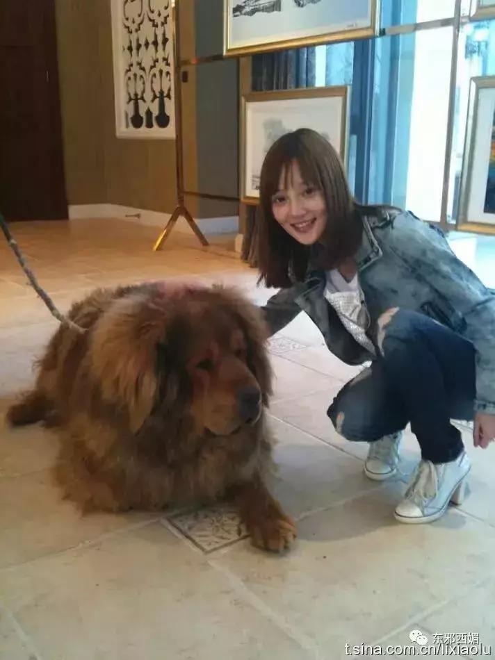 卖衣服被店员嘲讽是哪一集,最近卖服装被骂事件