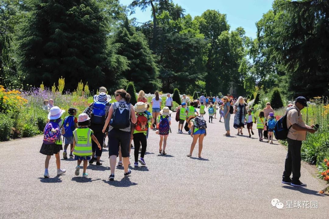 二木带你游花园|邱园（kewgarden）离我们到底有多远？