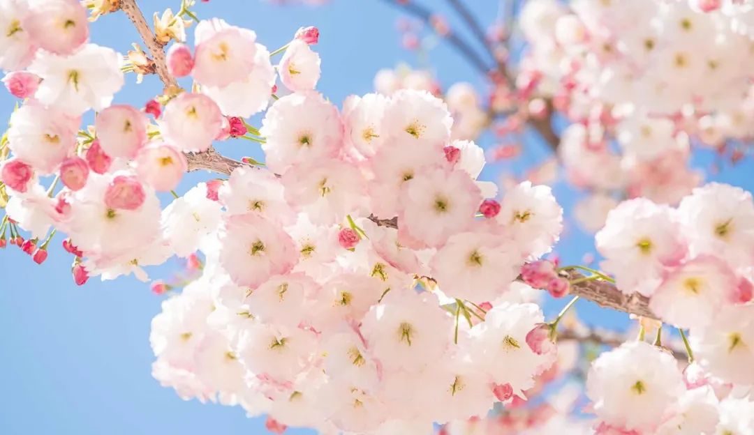 想去大连了,还有人想去大连吗