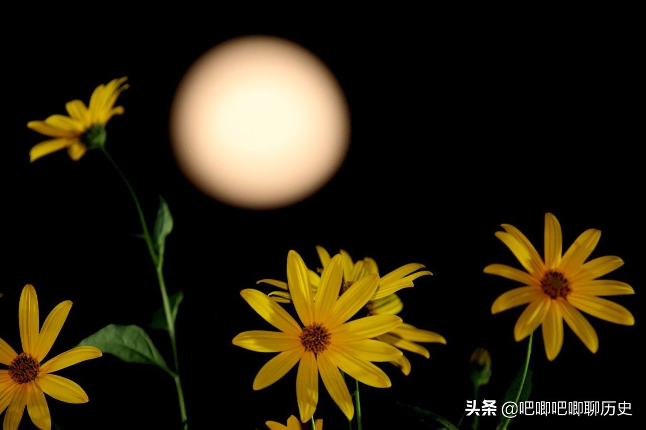 中秋节拜月的习俗的传说,中秋节拜月还是赏月普遍