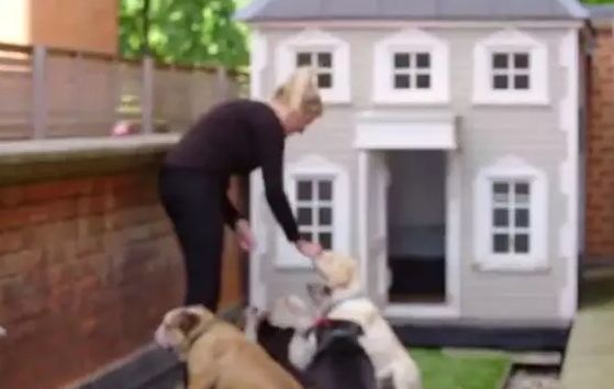 看唐顿庄园才知道真正的贵族生活,唐顿庄园奢侈生活