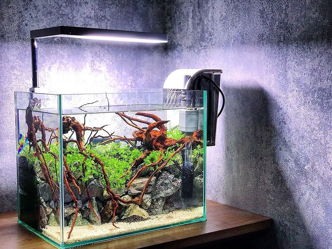 关于过滤的知识,过滤的方法和注意事项