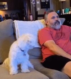 人狗大战电影免费观看,第一次人机大战视频