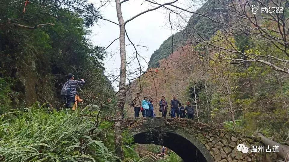 温州茶山红枫古道,浙江温州永嘉红枫古道