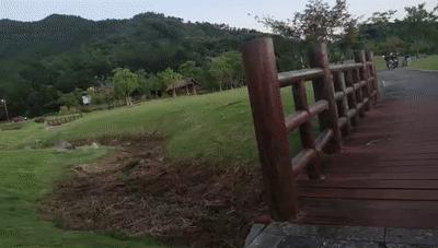 魔爪智能感应手机稳定器minimx2,魔爪nanose稳定器测评