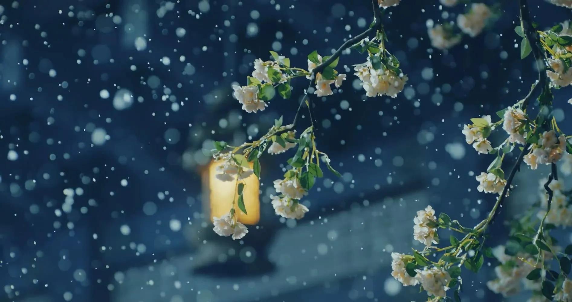 推荐几部古言女强小说,渣王作妃全文免费在线阅读