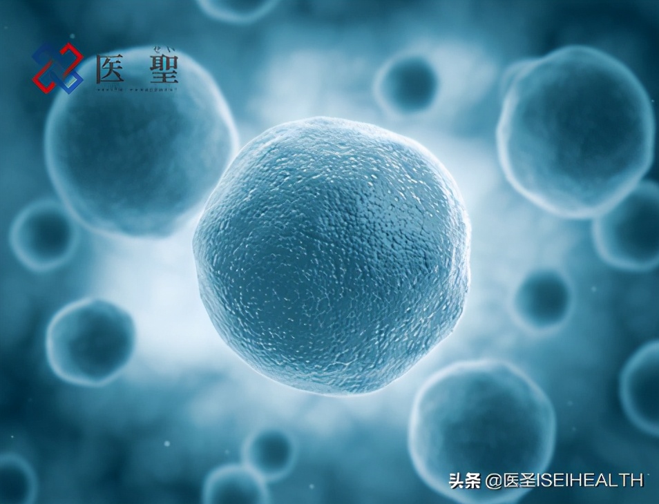 再生干细胞治疗1型糖尿病,再生医学治疗糖尿病