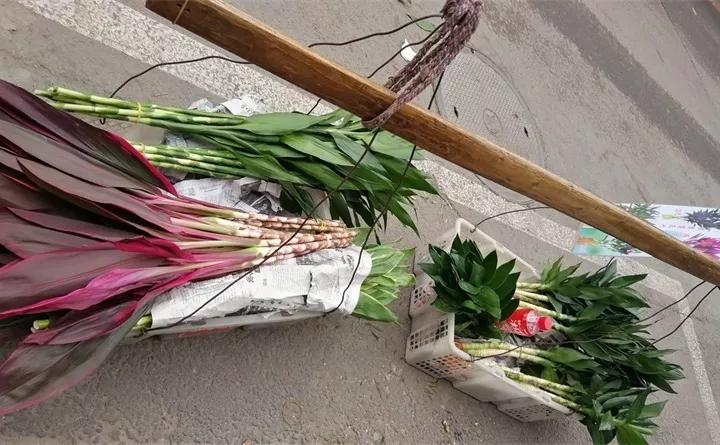 刚到家的花很好没多久就黄叶,买回来的花很快就蔫的原因