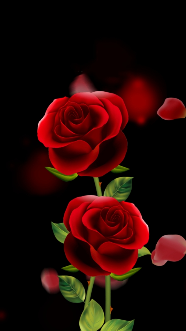 漂亮的花朵壁纸图片大全高清,漂亮的山野花朵图片竖屏壁纸