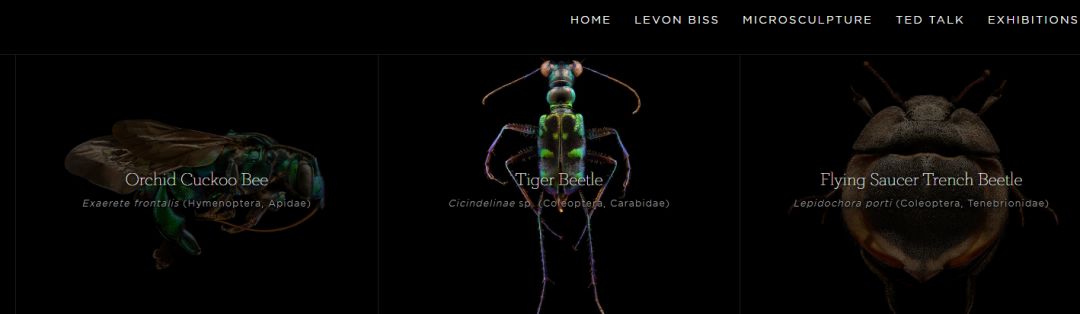 免费的高级素材网站,十大高逼格素材网站