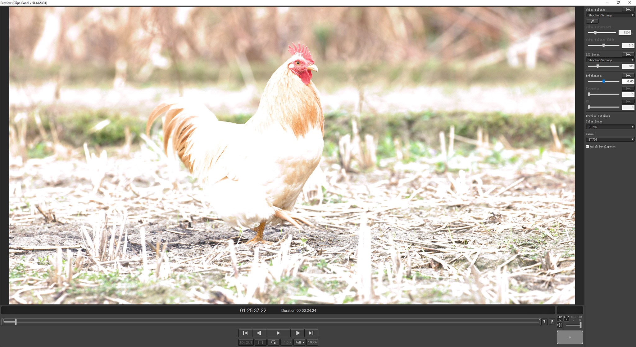 r5佳能24-70f2.8套机,佳能r5无反之战评测